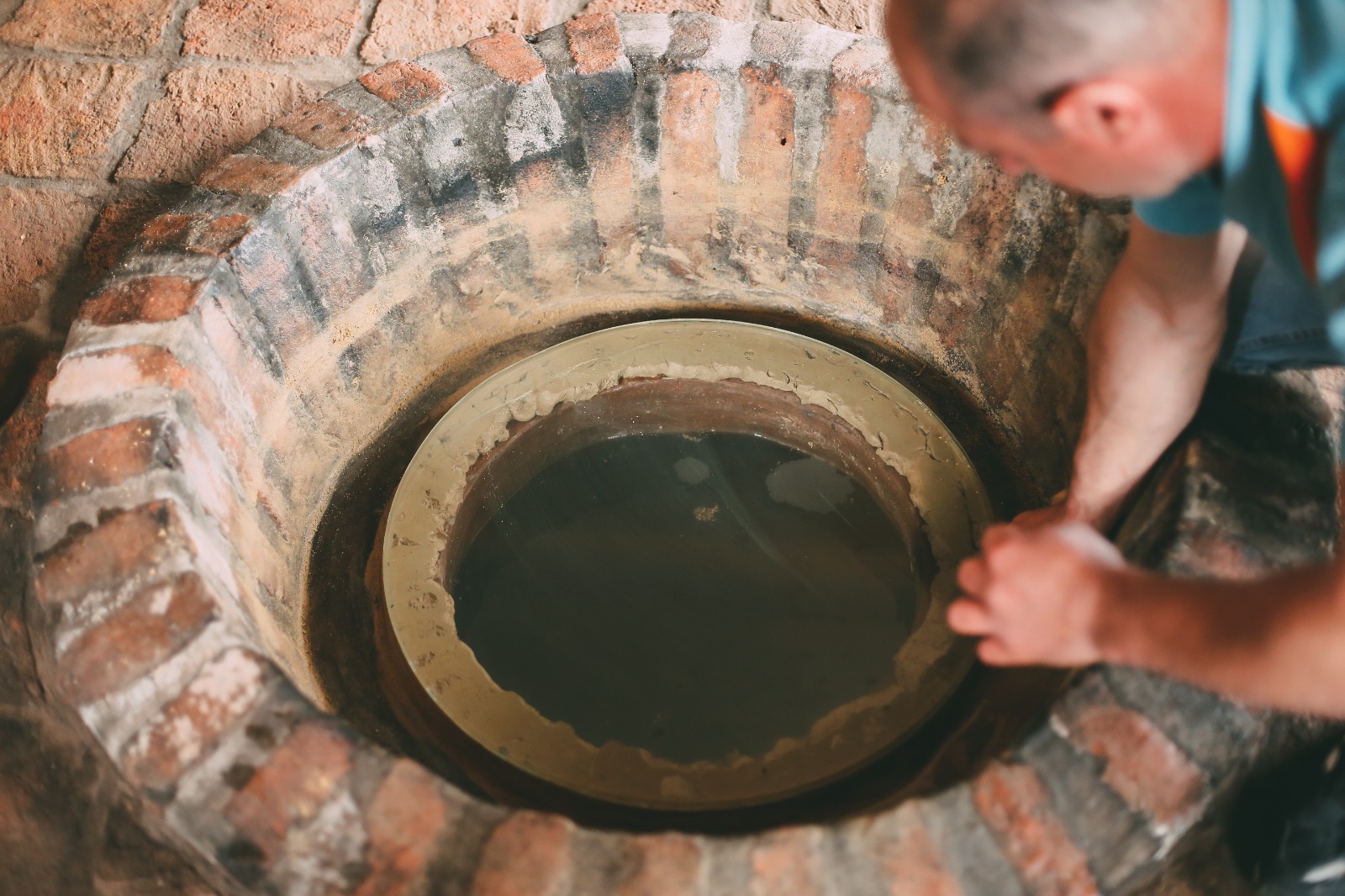 ძველი ვაზი და ტრადიციული ჯიშები